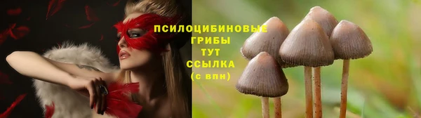 прущие грибы Протвино