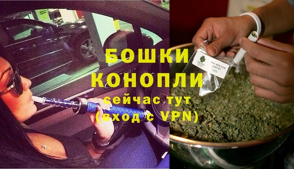 гидра Алексеевка