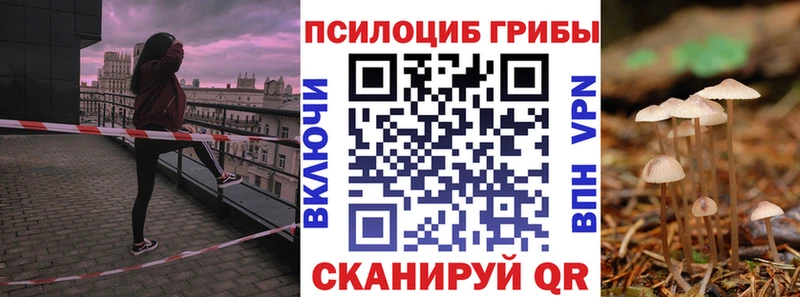 ОМГ ОМГ вход  Курлово  Псилоцибиновые грибы GOLDEN TEACHER  дарнет шоп 